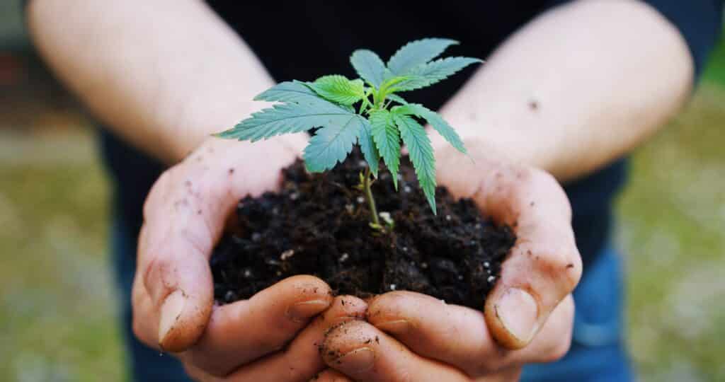 Le CBD aide à la récupération