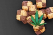 Retrouvez les saveurs de son enfance avec la GMO Cookie ?