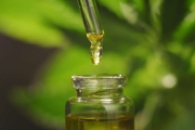 Huile de CBD : Guide complet