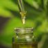 Le CBD est-il une aide efficace contre les migraines ?