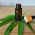 CBD et tests urinaires, dois-je m’inquiéter ?