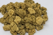 Comment la Galaxy Gold se démarque-t-elle des autres Fleurs CBD ?
